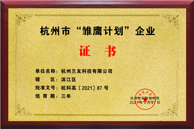 杭州市“雛鷹計劃”證書